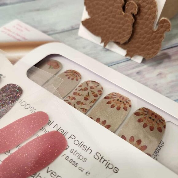 Retired Color Street Nail Set- Thanksgiving - Picture 4 of 6